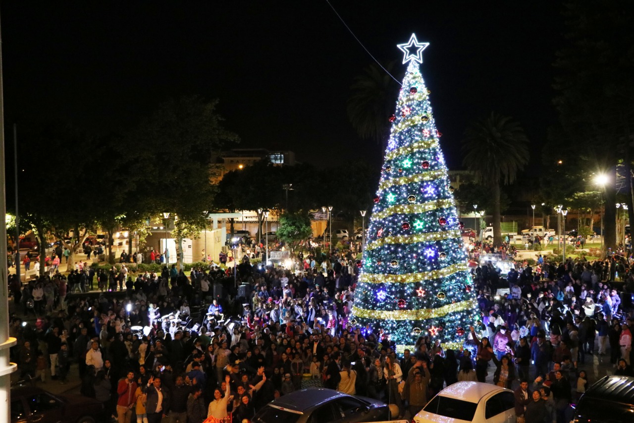 Árbol de navidad gigante maravilló a vecinos de Talcahuano