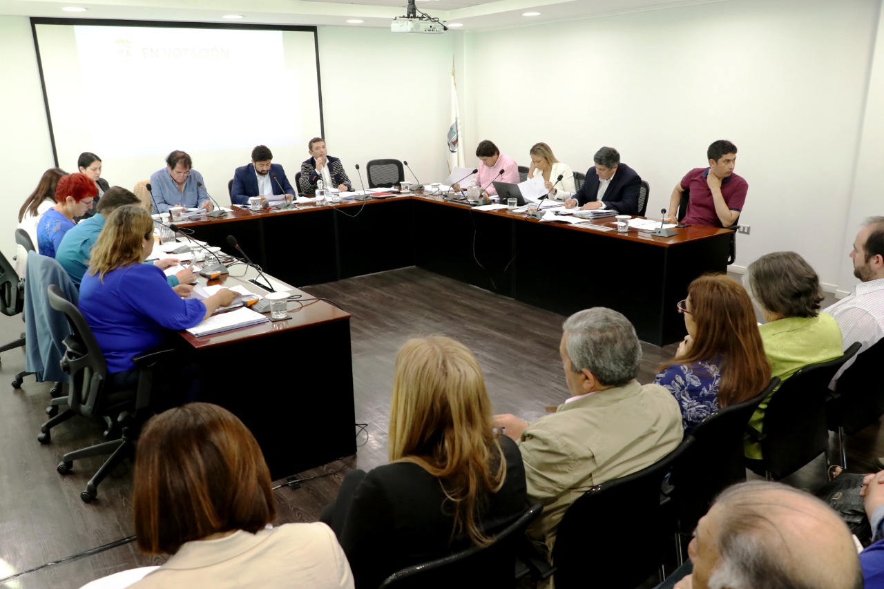 Mayor Fiscalización: Talcahuano aprobó ordenanza municipal en materia de alcoholes con alta participación ciudadana