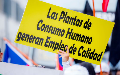Gelería